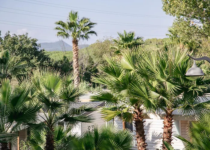 Site De Gorge Vent 3* Fréjus